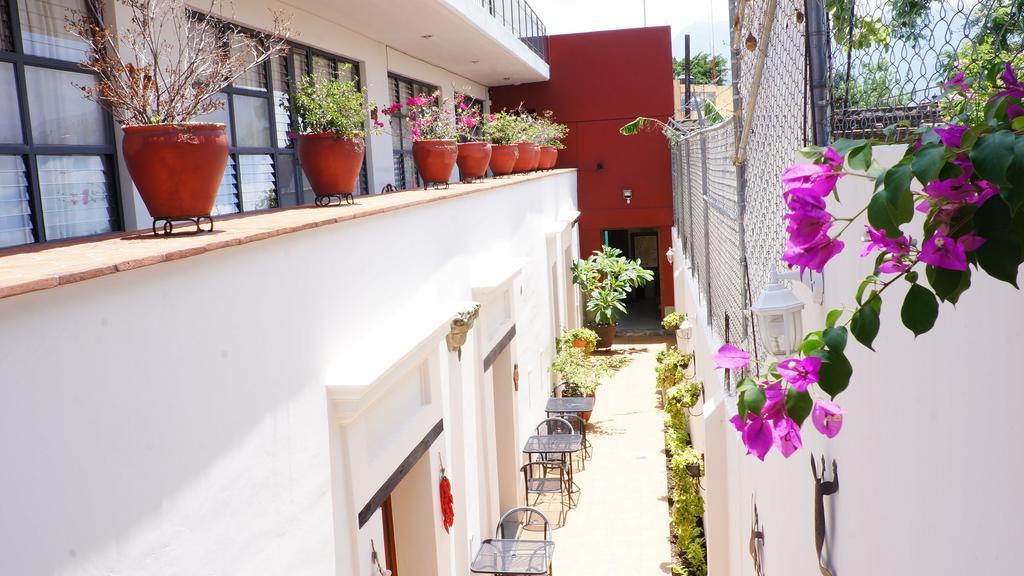 La Leyenda Hostel Oaxaca المظهر الخارجي الصورة